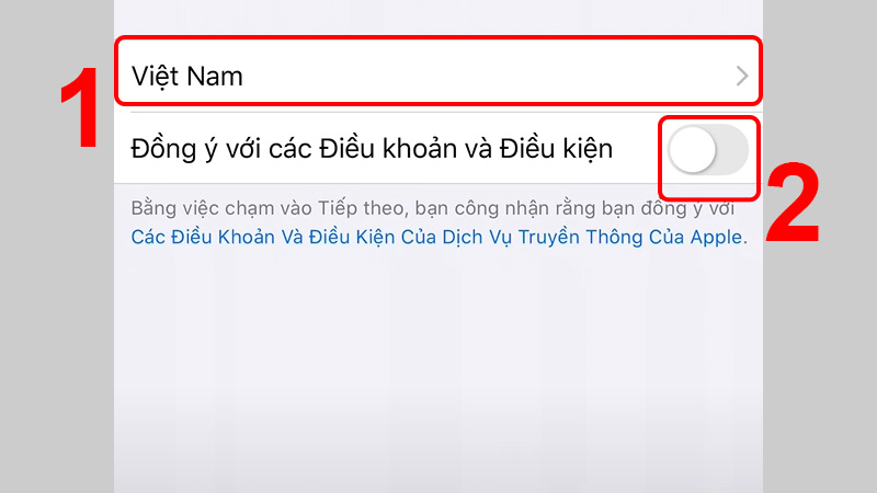 Chọn vùng tại chữ Việt Nam và đồng ý với các khoản, điều kiện